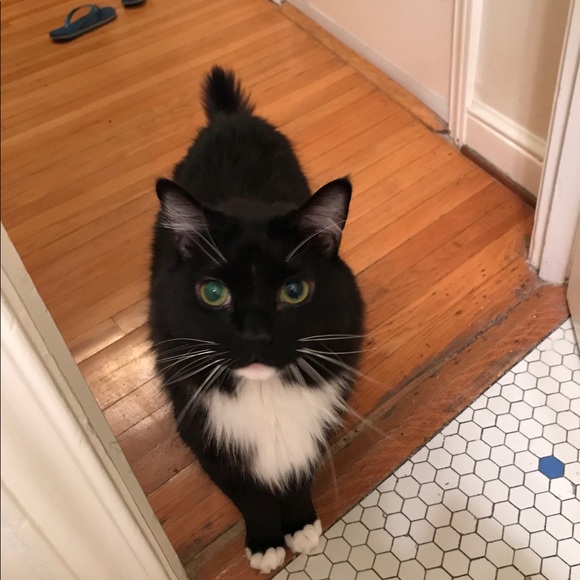 Meet your Posher, SSP - Picture 5 of 8